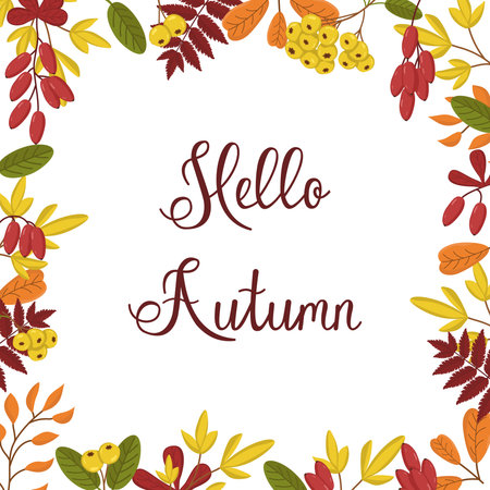 Vector frame of leaves and berries of barberry and pyracantha. Botanical illustration for greeting card and banner. Autumn background with text. Multicolored leaves with berriesのイラスト素材