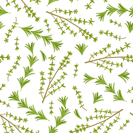 Vector seamless pattern of rosemary and thyme. Image of fresh herbs from the garden. Botanical illustration. Green leaves and stems of herbs.のイラスト素材