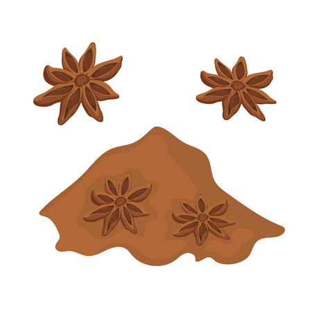 Vector set of whole anise and powder. Spice logo on white background. Natural aromatic spicesのイラスト素材