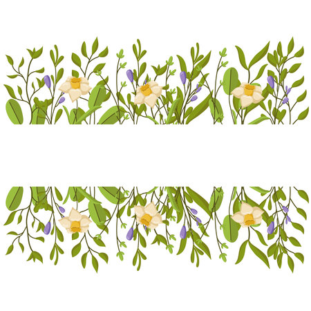 Vector spring banner with delicate flowers, leaves and space for text. Botanical illustration for greeting cards and invitations. Frame of flowers and greenery for summer designs.のイラスト素材