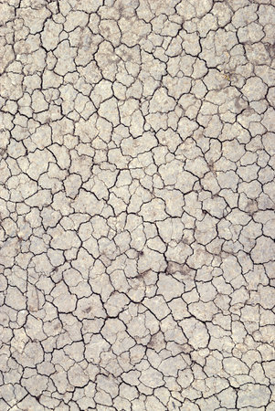Dry cracked earth texture
