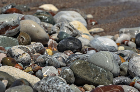 Closeup view of wet beach pebble with shallow DOFの写真素材