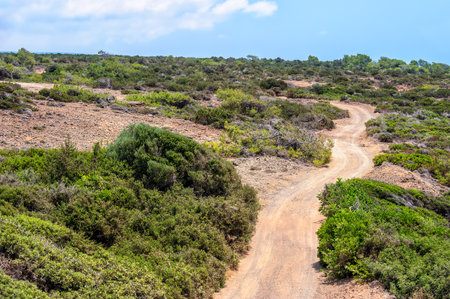 Cyprus landscape with rural roadの写真素材