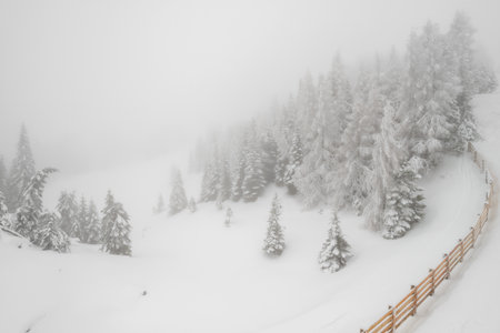 Beautiful landscape with mist and snowfall in winter forestの写真素材