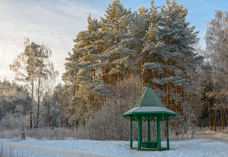 Trees and wooden arbour covered with hoarfrost in winter gardenの写真素材