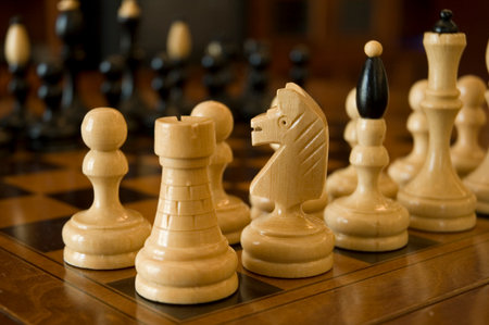 White chess figurines ready to start play