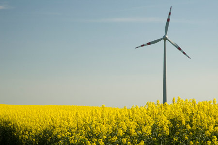 Wind generators with rapeseed fields. の写真素材