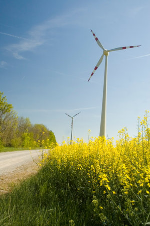 Wind generators with rapeseed fields. の写真素材