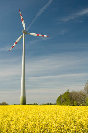 Wind turbines and rapeseed fieldの写真素材