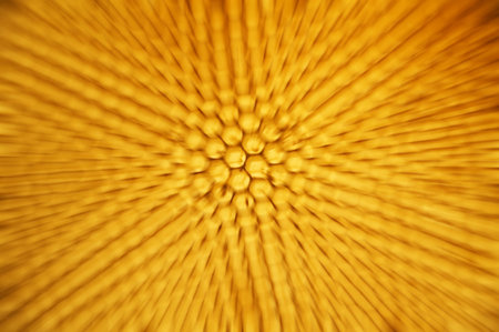 Abstract visual patterned background with impression of honeycomb.の写真素材