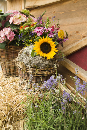 Floral arangement with sunflower and lavenderの写真素材