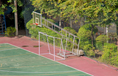 Scored in Sport