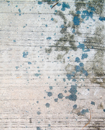 the cement skin for textureの写真素材