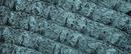 the crocodile for texture