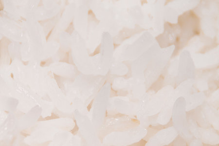 Rice is the staple food of Thailand.の写真素材