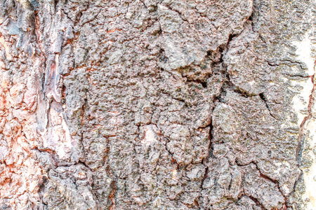 wooden floor for a background image.