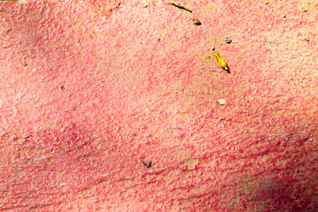 The cement floor for a background.の写真素材