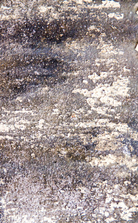 the concrete floor for the background