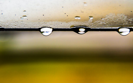 It's just a little drip drip drip into the bath water , it is a day to a full claim.の写真素材