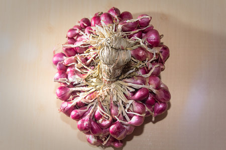 Shallots for Cookingの写真素材