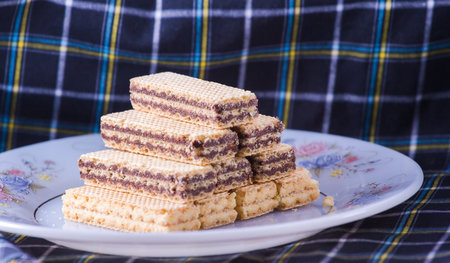 the wafer is snack for usの写真素材