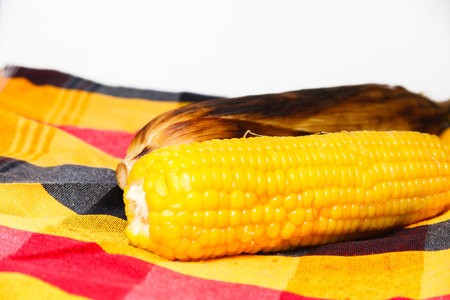 the corn is the cereals foodの写真素材