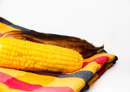 the corn is the cereals foodの写真素材