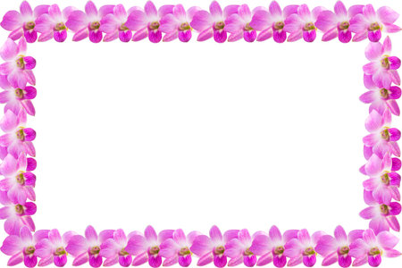 The orchid is the beatiful flower live in the natureの写真素材