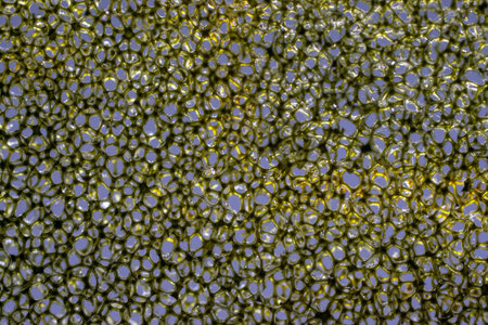 Gold fabric nylon background texture with light.Macro photo