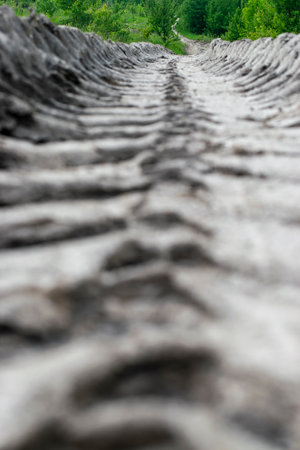 Dried track from a car tread in the forest. Ecological problem of temperature increase and drought.の写真素材