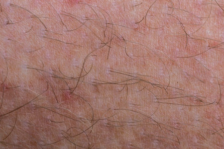 Detail of human skin with hair, close-up, macro.の写真素材