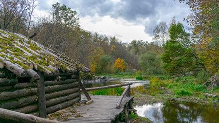 Old wooden hut in the autumn forest strewn with leaves