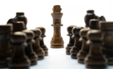 Simple wooden chess in a variety of positions. Isolated on white backgroundの写真素材