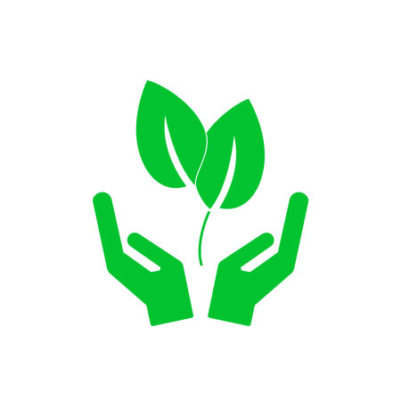 Hands holding young plant sproutのイラスト素材