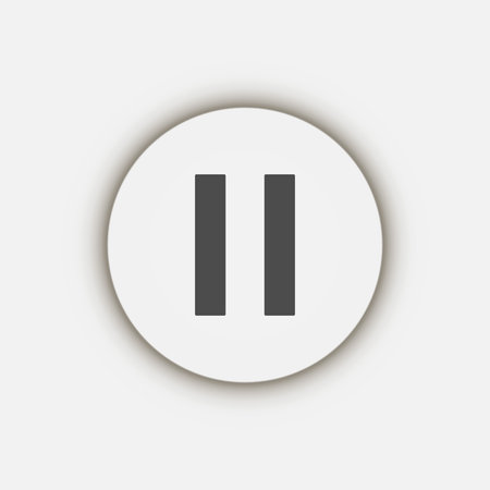 pause sign. Gray icon on white background. pause icon.