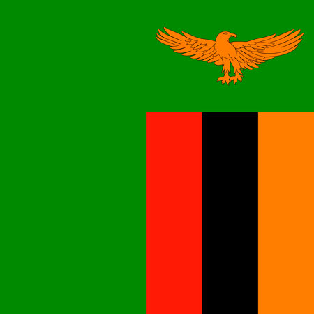 Zambia flag, official colors. vector illustration.のイラスト素材