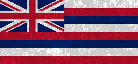 Hawaii state grunge flag. vector illustration.のイラスト素材