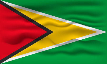 Waving flag of the country Guyana. vector illustration.のイラスト素材