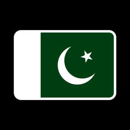 Pakistan flag, official colors and proportions. vector illustration.のイラスト素材