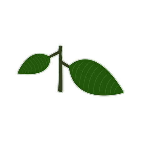 Cartoon two leaves on a branch. Vector illustration.