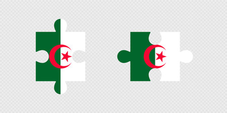 Puzzle Pieces with Algeria Flag.のイラスト素材