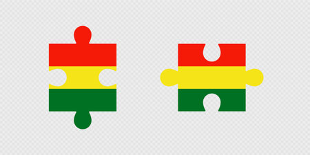 Puzzle Pieces with Bolivia Flag.のイラスト素材