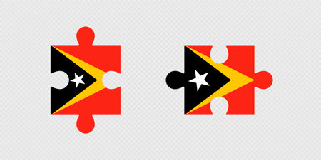 Puzzle Pieces with East Timor Flag.のイラスト素材