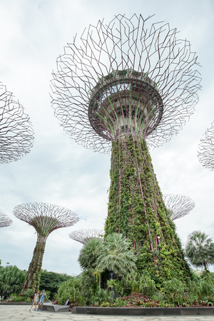 MARINA BAY, SINGAPORE - JAN 20, 2017: Landscape of Gardens by the bay, Supertree grove cloudy day in Singapore.のeditorial素材