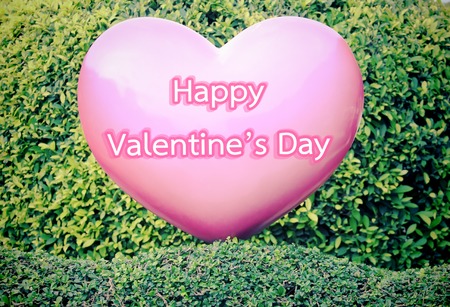 Pink heart on green hedge Valentine's day conceptの写真素材