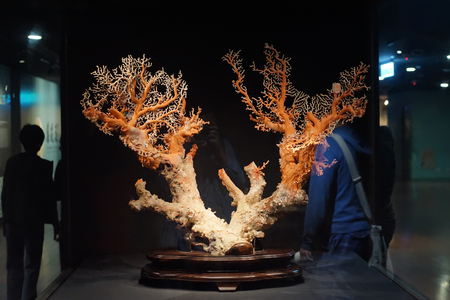 Taipei, Taiwan - November 22, 2018: Ancient Chinese imperial artifacts and artworks in National Palace Museum in Taipei City, Taiwan.のeditorial素材