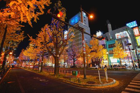 Osaka, Japan - December 16, 2019 : Night scene with beautiful yellow leaves of Ginkgo in Namba district, Osaka city, Japan.のeditorial素材