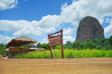 Sa Kaeo, Thailand - July 17, 2020: Beautiful scenery at the popular coffee cafe named Woodhouse Khao Chakan in Khao Chakan District, Sa Kaeo Province, Thailand.のeditorial素材