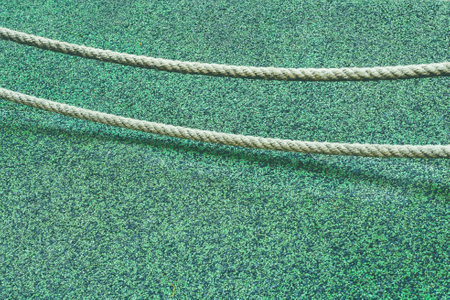 Close up view of Fiddle leaf fig, Ficus lyrata a good plant for decorate home or room.の写真素材