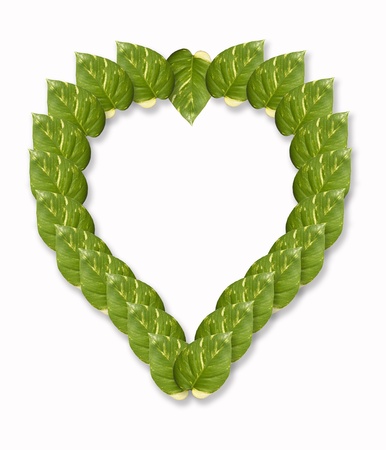 Leafs heartの写真素材